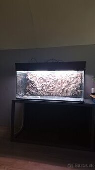 Predam akvarium aj s rybami - 2