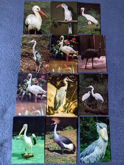 Zbierka pohľadnic - 2