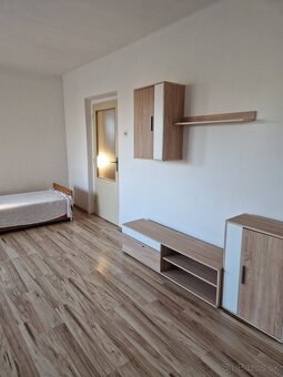 Veĺký 2 izb. byt na prízemí rodinného domu so záhradou - 2