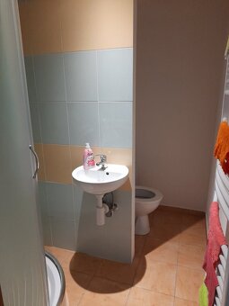 Prenajmem jednoizbový byt s balkónom v Tisovci - 2