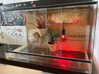 Akvárium - terárium 75x40x50cm - 2