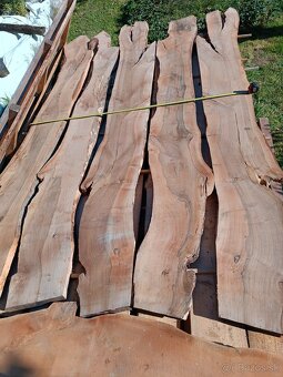 Suché orechové rezivo - 2