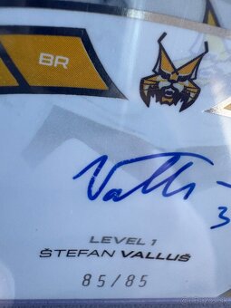 Sportzoo Tipos Extraliga 2024/2025 Štefan Valluš - 2