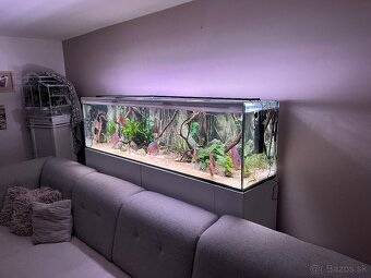 Predám Akvarium 360l +kovova skrinka - 2