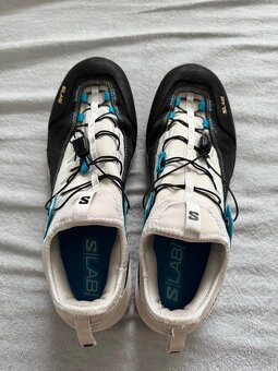 Salomon Alpinway - 2