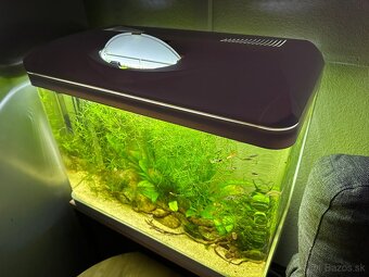 Akvarium - 2