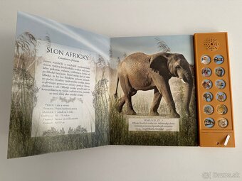 Zvukové knihy Vtáky voľnej prírody - 2