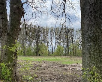 domček priamo pri dunaji - 2