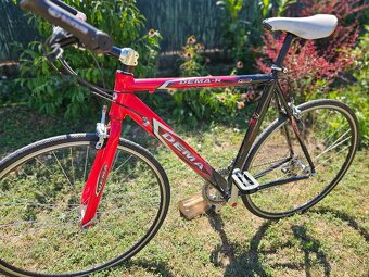 Cestný bicykel DEMA - 2