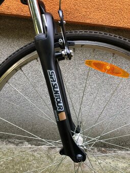 Kellys ALPINA ECO C10 - 29'' - L - 2