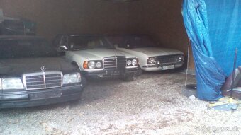 Mercedes w123 - 2