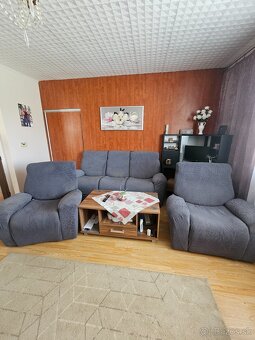 Koženna sedačka - 2