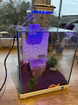 Predám mini akvarium - 2