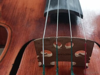 Viola39 - 2