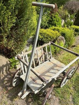 Starožitný žebřiňák - 2