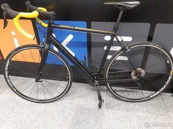 Canyon Endurace AL - 2