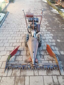 Kosačka, rakúšanka - 2