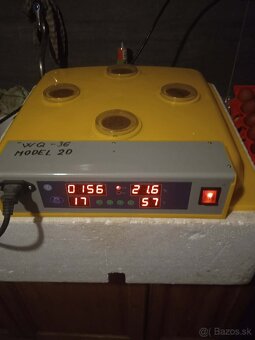 AUTOMATICKÁ DIGITÁLNÁ LIAHEŇ WQ-36 - 2