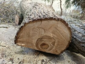 orechové drevo - 2