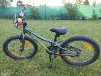 Specialized RIPROCK 20 - 2