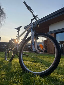 Horský bicykel DEMA - 2