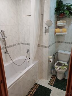 Prenajom 1izbovy byt - 2