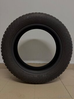 Nokian Hakkapeliitta 10 - 2