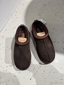 Ugg TAZZ II platform- 38-dusted cocoa- original - 2