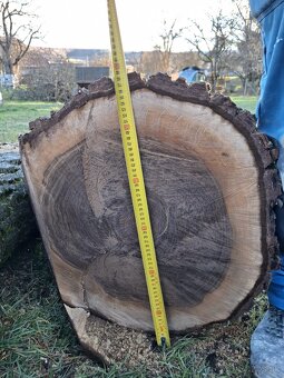 Predám orechové drevo - 2