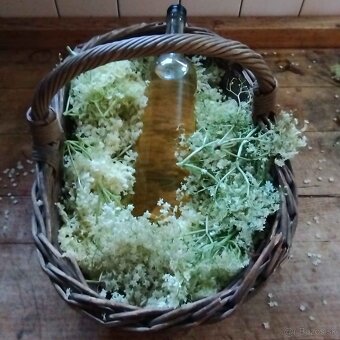 Bazovy Sirup - 2