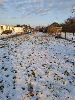 Záhrada na prenájom v Komoči - 2