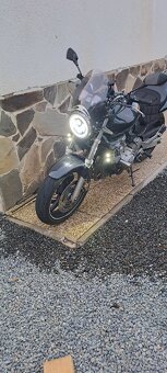 Predam Honda Hornet 600 - 2
