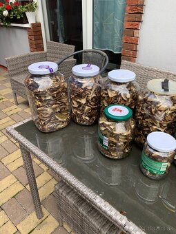 Predam susene hriby - 2