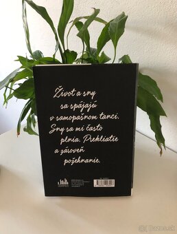 Životopis Pamela Anderson, S láskou Pamela, 11.80 E - 2