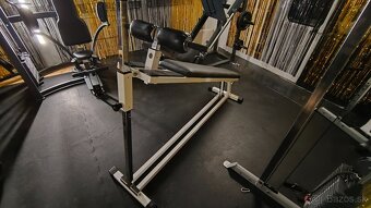 Technogym abdominal bench isotonic - 2