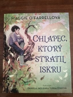 Chlapec, ktorý stratil iskru - NOVÁ - 2