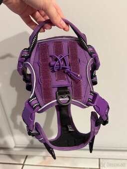 Postroj pre psa - 2