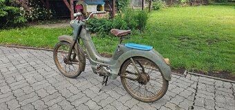 Predam Jawetta 551 - 2