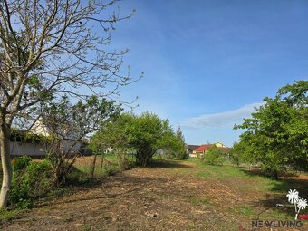 KRÁSNY POZEMOK Horná Streda pri Piešťanoch - 2