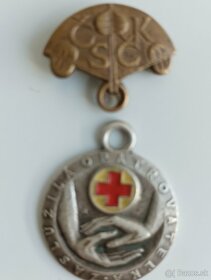 Medaile Záslužná opatrovateľka - 2