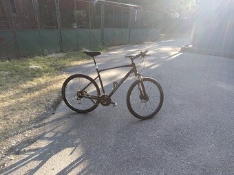 GIANT ROAM 3 Phantom Green 2024 - 2