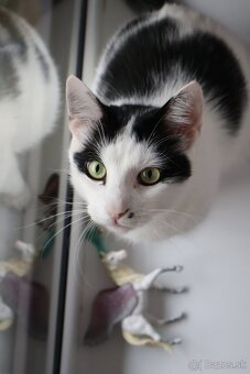 Len do dobrých rúk  - 2