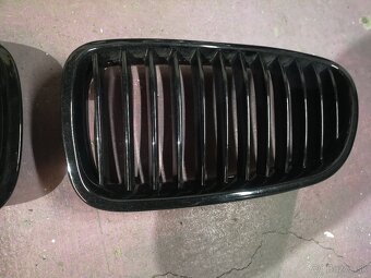 Ľadvinky (grill) Bmw f10 - 2