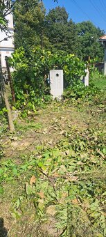 Predám pozemok v Zalabe - 2