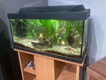 Akvárium terra 85L - 2