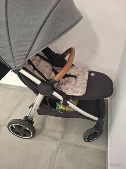 sportovy kocik - 2