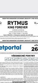 2x listok Rytmus King Forever, O2 Praha - 2