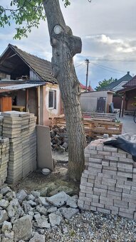 Darujem kmen orecha za vyrezanie - 2