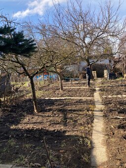 Predaj udržiavanej záhradky s ovocnými stromani-B. Kostol - 2