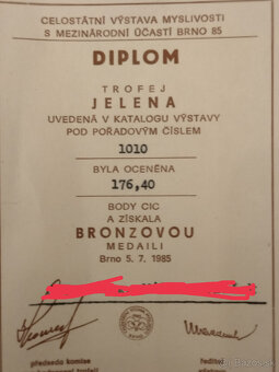 SILNÉ pravidelné parožie krásna dr. podložka 176,4 bodu - 2
